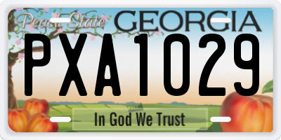 GA license plate PXA1029