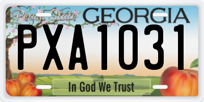 GA license plate PXA1031