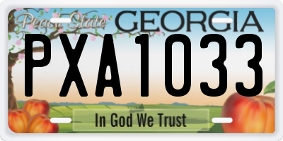 GA license plate PXA1033