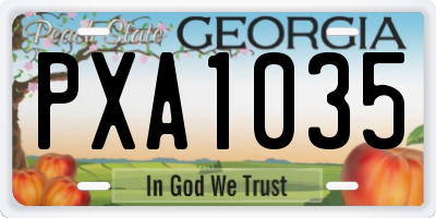 GA license plate PXA1035