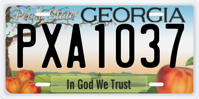 GA license plate PXA1037