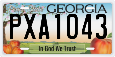 GA license plate PXA1043
