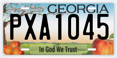 GA license plate PXA1045