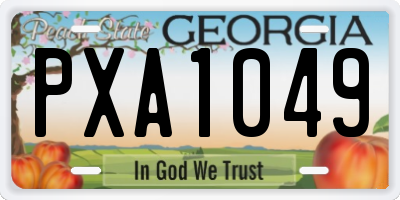 GA license plate PXA1049