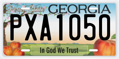 GA license plate PXA1050