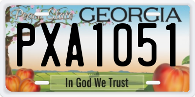 GA license plate PXA1051