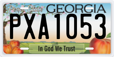 GA license plate PXA1053