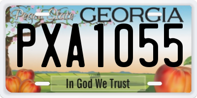 GA license plate PXA1055
