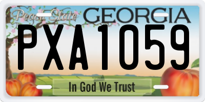 GA license plate PXA1059