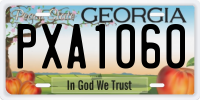 GA license plate PXA1060