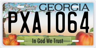 GA license plate PXA1064