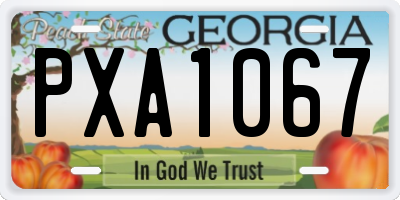 GA license plate PXA1067