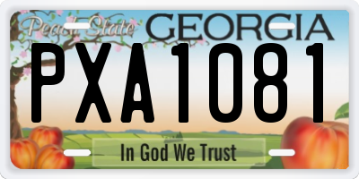 GA license plate PXA1081