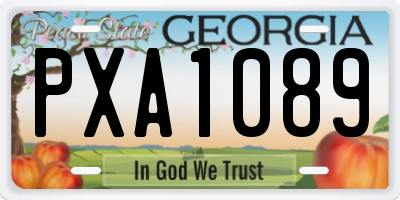 GA license plate PXA1089
