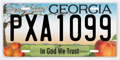 GA license plate PXA1099
