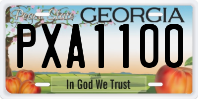 GA license plate PXA1100