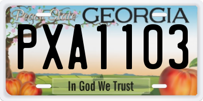 GA license plate PXA1103