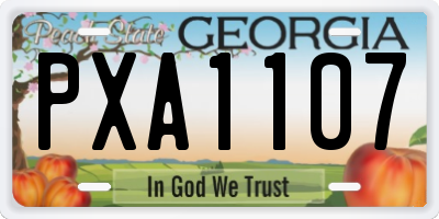 GA license plate PXA1107