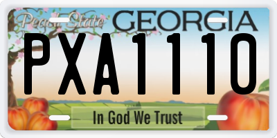 GA license plate PXA1110