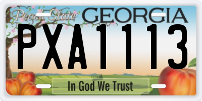 GA license plate PXA1113