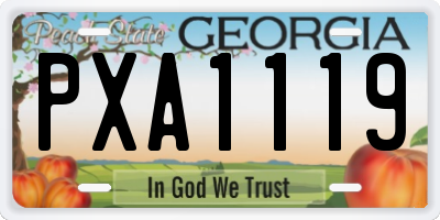 GA license plate PXA1119