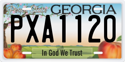 GA license plate PXA1120