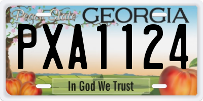 GA license plate PXA1124