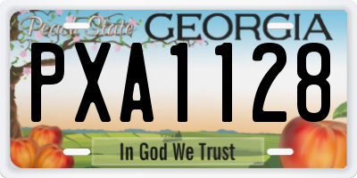 GA license plate PXA1128