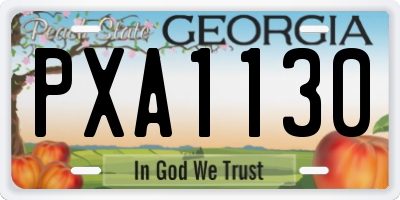 GA license plate PXA1130
