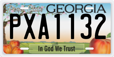 GA license plate PXA1132