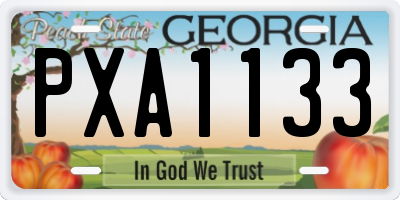 GA license plate PXA1133