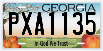 GA license plate PXA1135