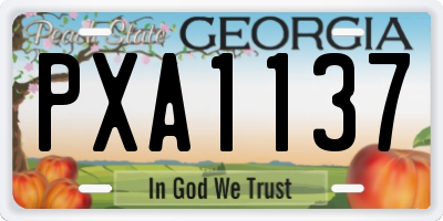 GA license plate PXA1137