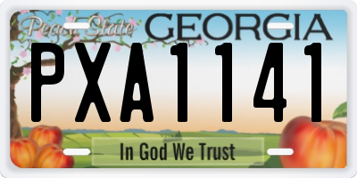GA license plate PXA1141
