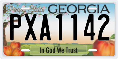 GA license plate PXA1142