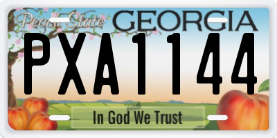 GA license plate PXA1144