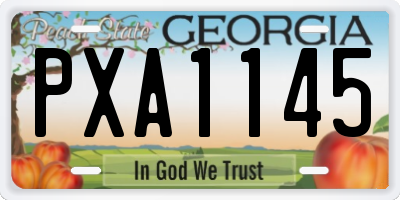 GA license plate PXA1145