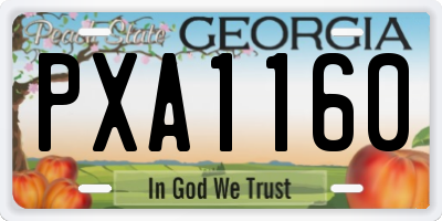 GA license plate PXA1160