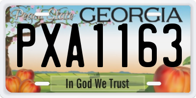 GA license plate PXA1163