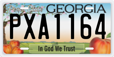 GA license plate PXA1164