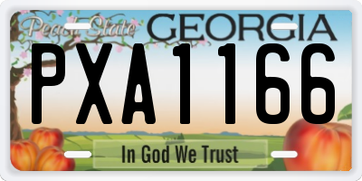 GA license plate PXA1166