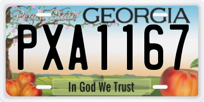 GA license plate PXA1167