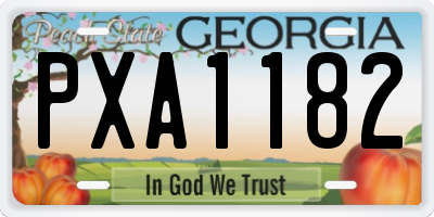 GA license plate PXA1182