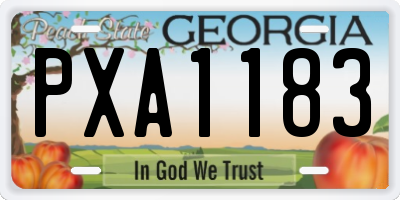 GA license plate PXA1183
