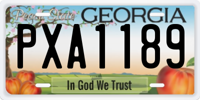 GA license plate PXA1189