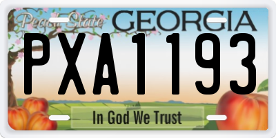 GA license plate PXA1193