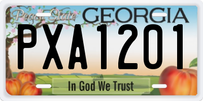 GA license plate PXA1201