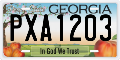 GA license plate PXA1203