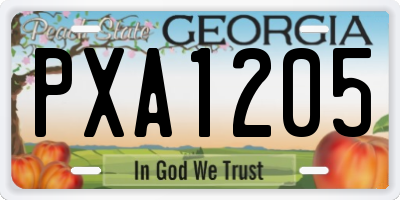 GA license plate PXA1205