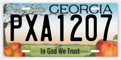 GA license plate PXA1207